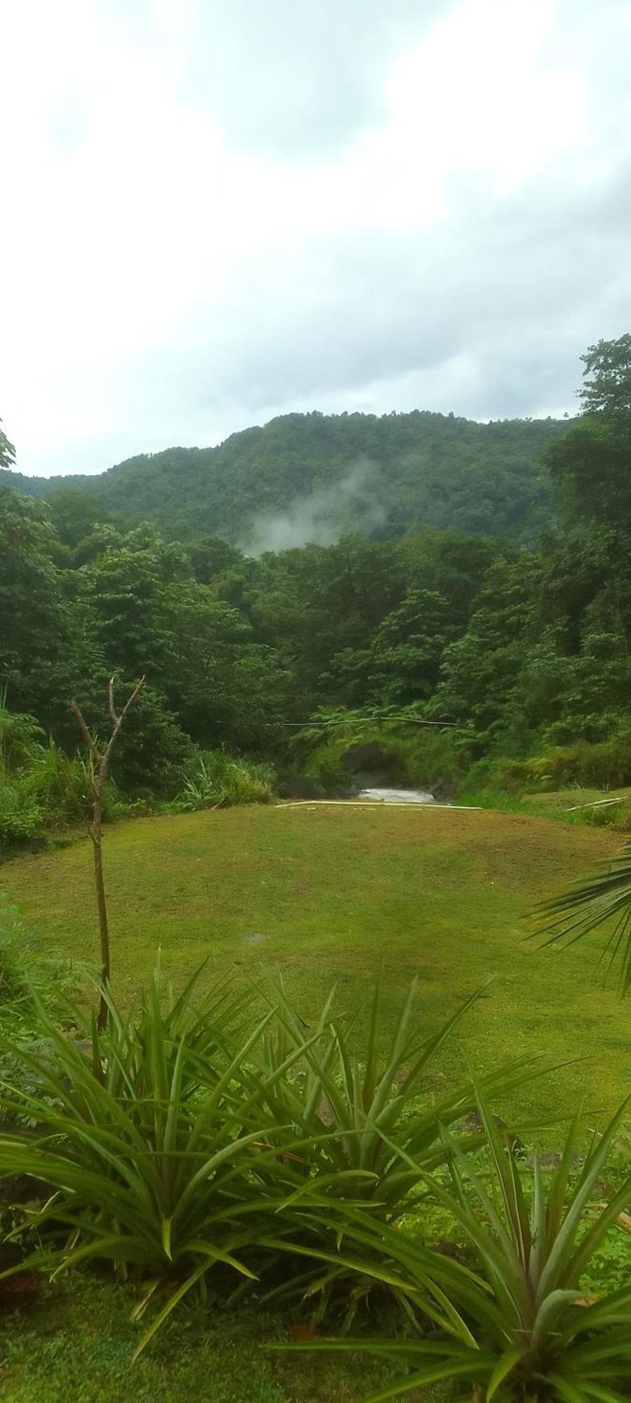 Natty Tropical Valley Roseau Exterior foto