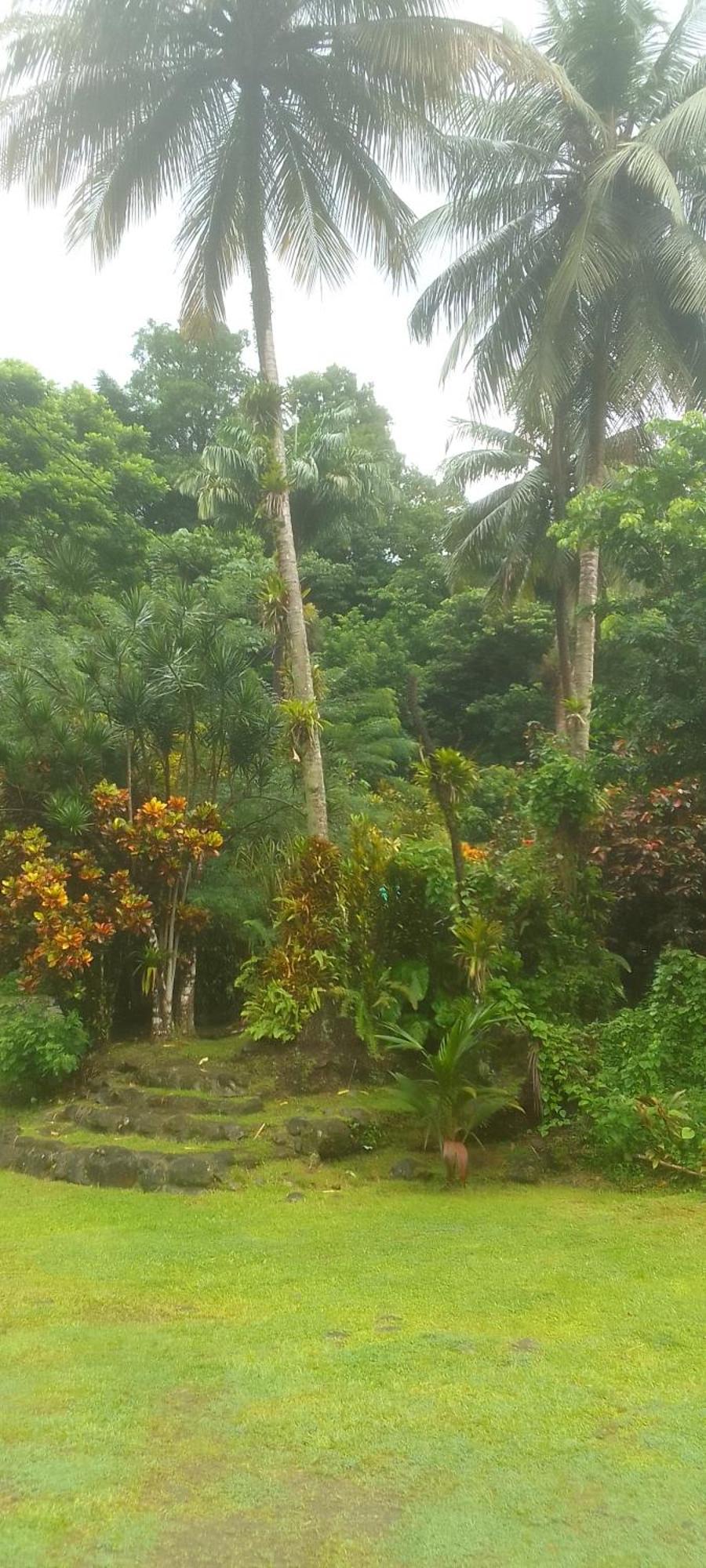 Natty Tropical Valley Roseau Exterior foto