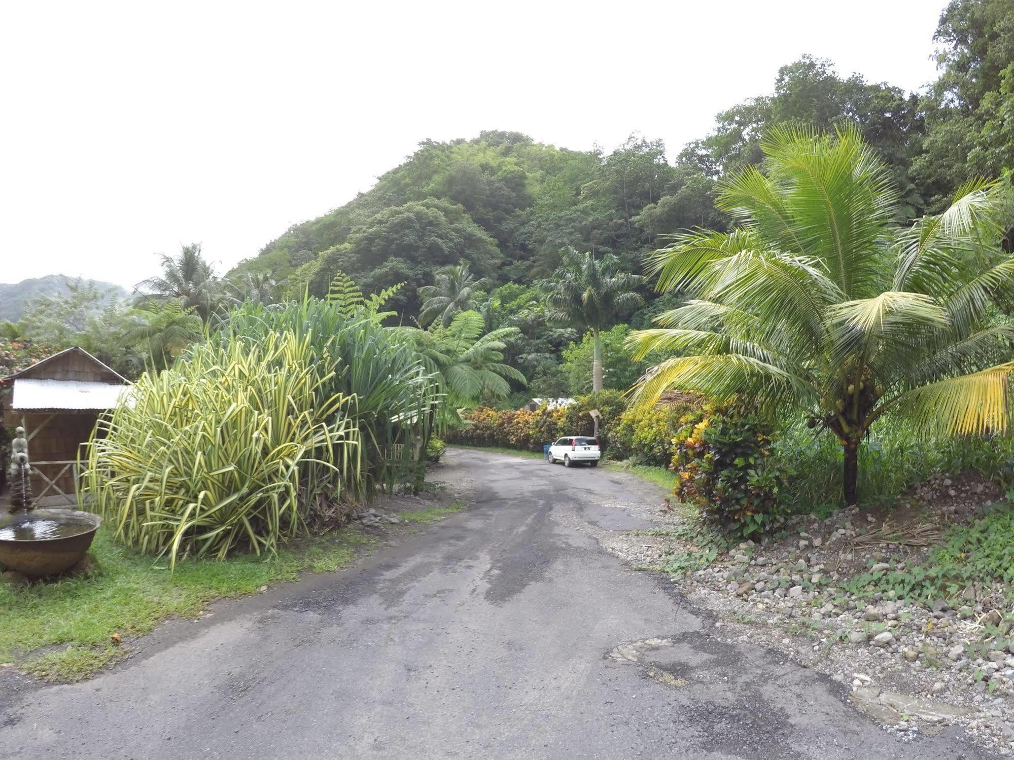 Natty Tropical Valley Roseau Exterior foto